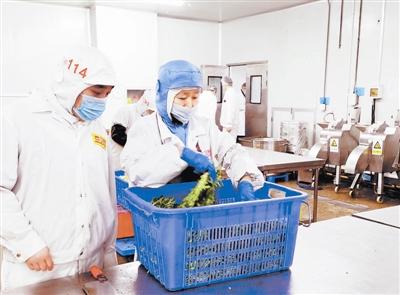 天津確保校園食品安全 監(jiān)管先行，教育軟件賦能